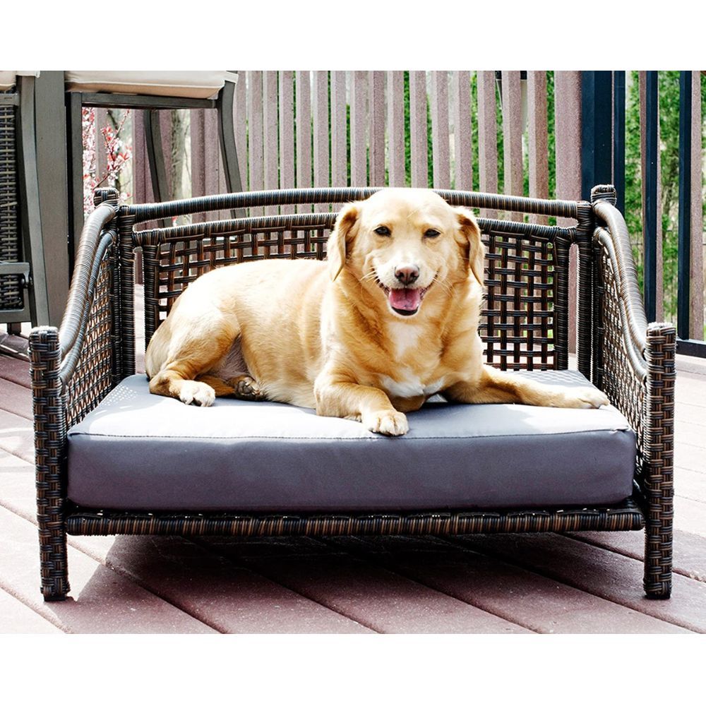 Enjoy the Great Outdoors with the Best Outdoor Dog Beds!