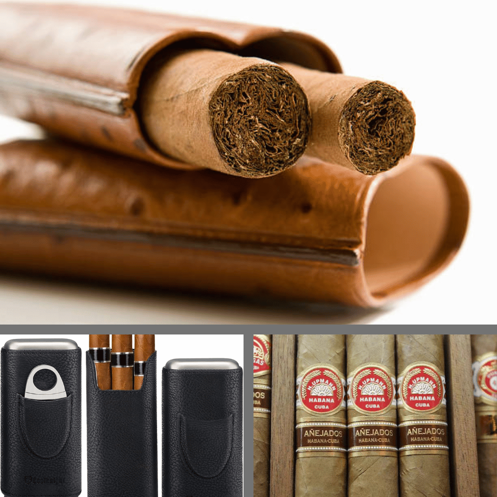 Flauno Cigar Travel Humidor Case, Leather Cigar Case with Cedar Wood Lined,  Portable Travel Humidor Box with Cigar Accessories (Cigar Lighter, Cigar