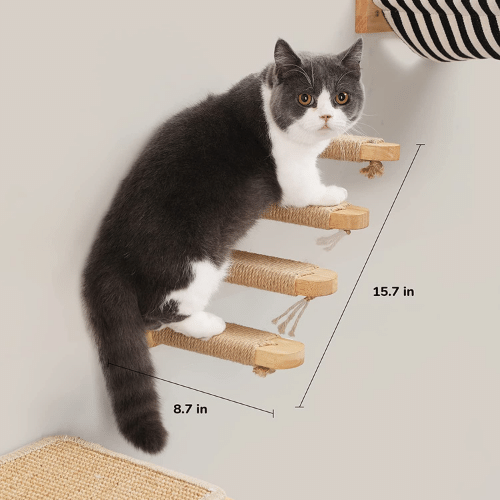 Cat Wall Furniture