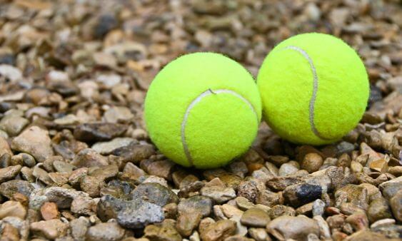 Why Do Dogs Love Tennis Balls?