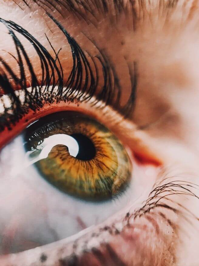 close up of eye and eyelashes