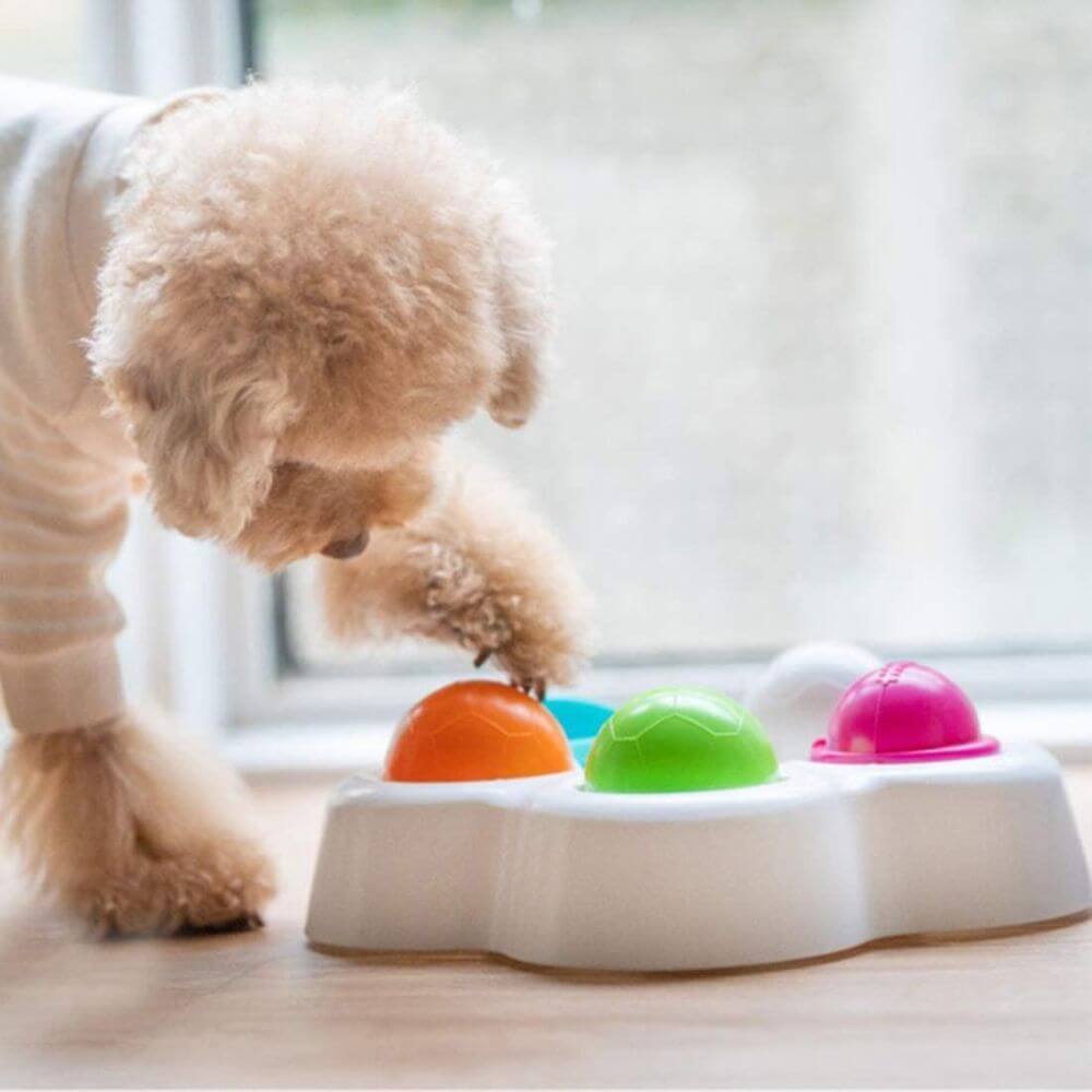 Find the Perfect Dog Puzzle Feeder for 2024