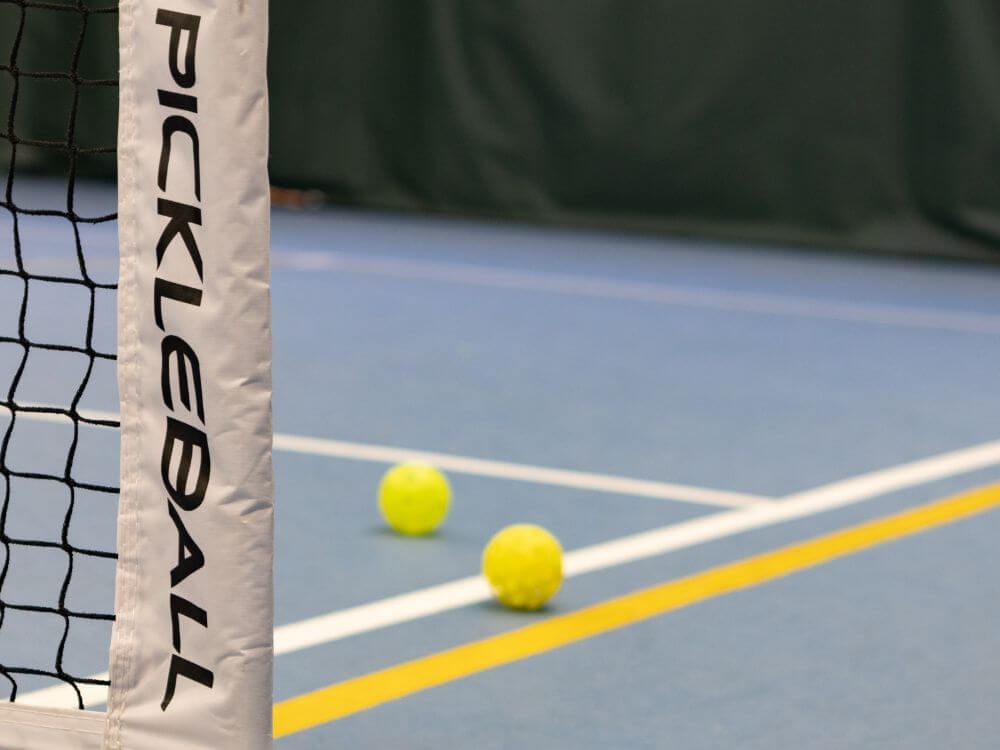 pickleball net, court and 2 balls