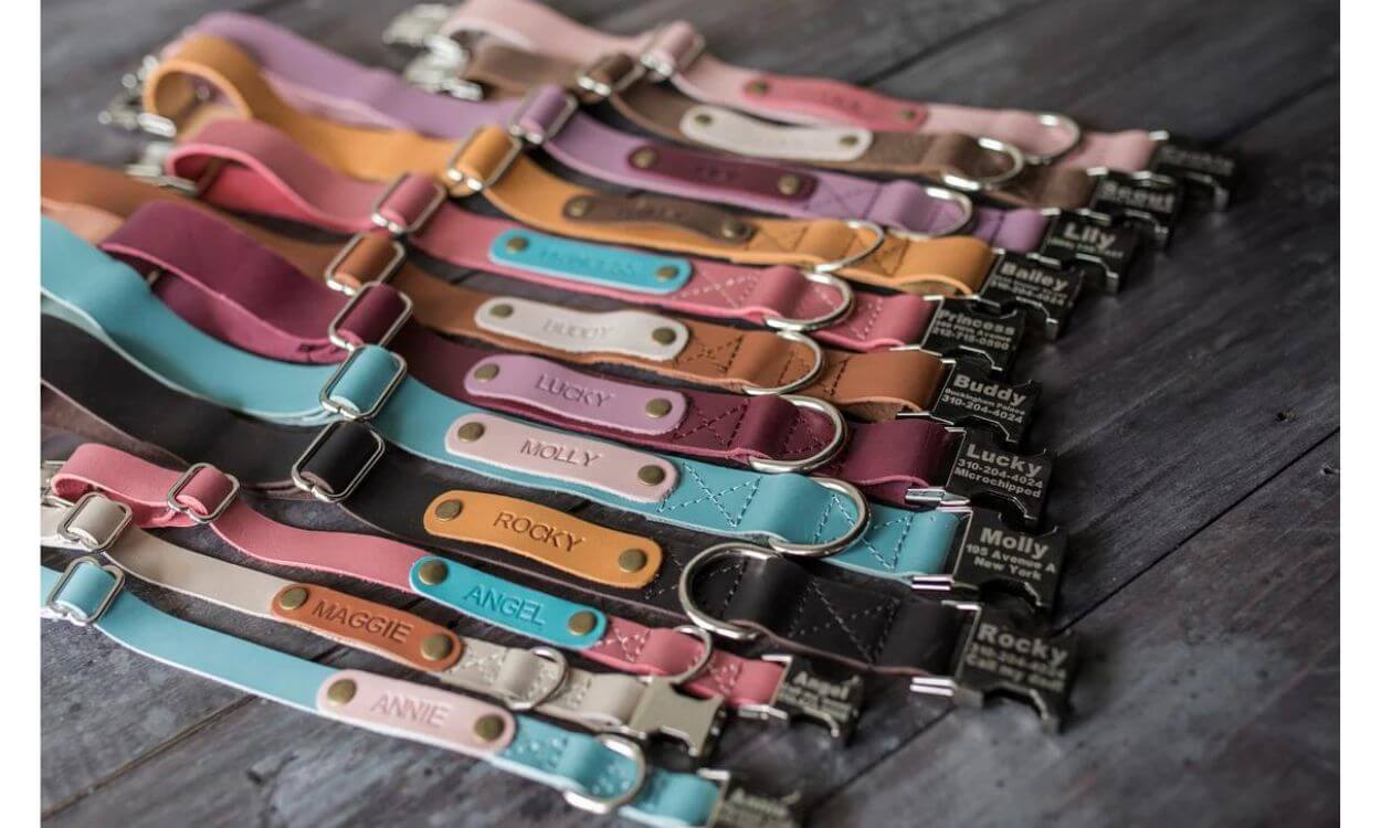 multi colored leather dog collars with name plate 