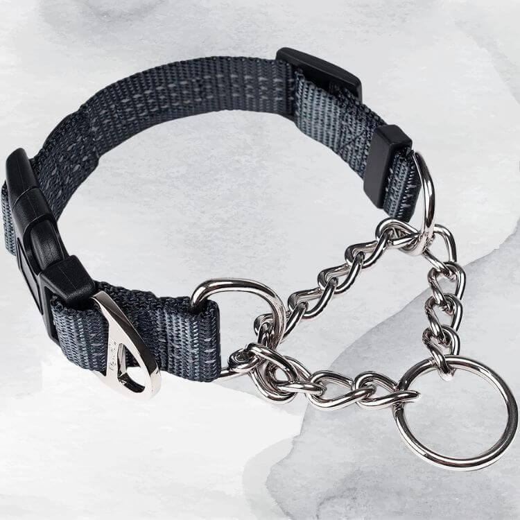 Gray  Mighty Paw Martingale Dog Collar