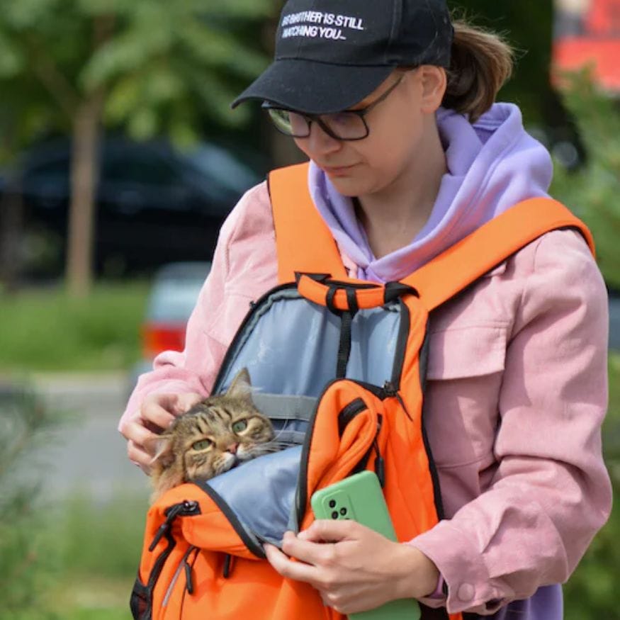 woman petting a cat in an orange backpack