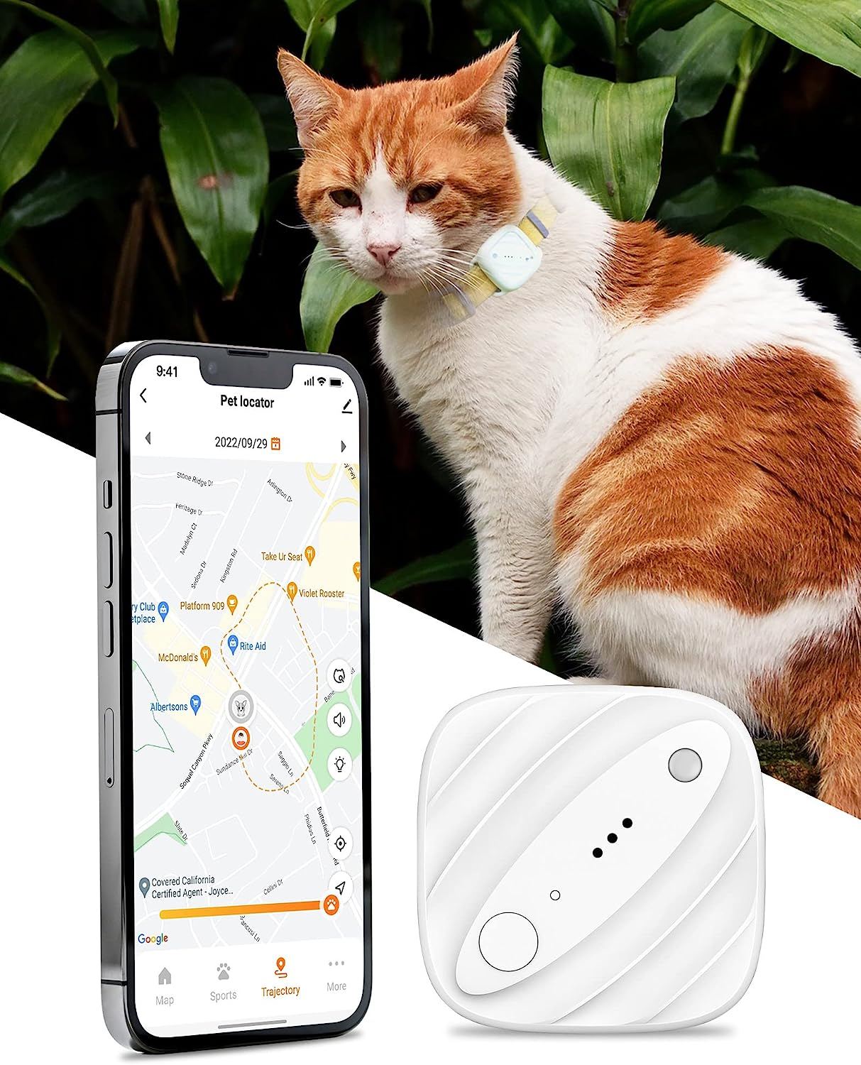 Cat Missing? Unleash the Power of The Cat GPS Tracker!