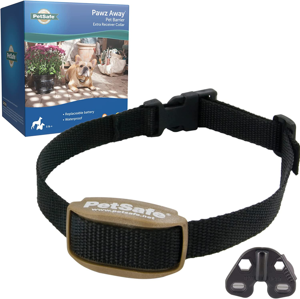Zap The Misbehavior Try One of These 5 Cat Shock Collars