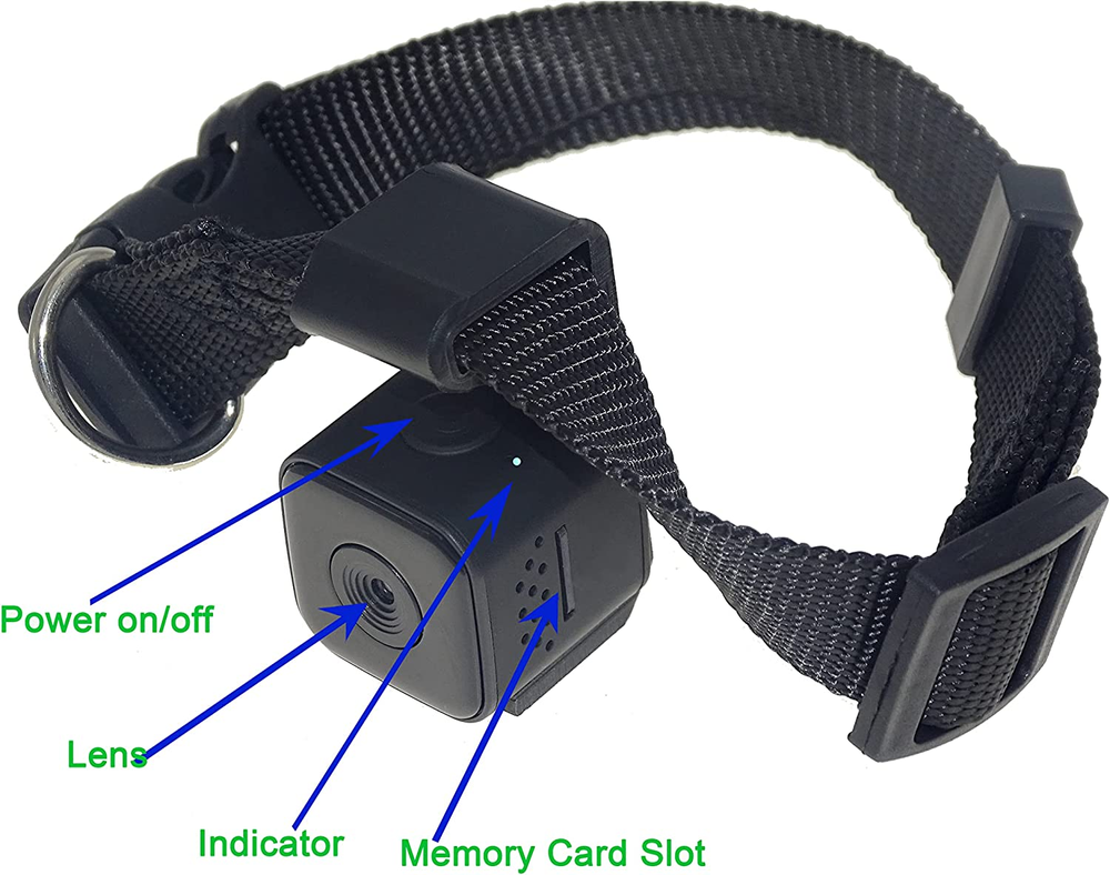 See the World Thru A Cat's Eye Get A Cat Camera Collar!