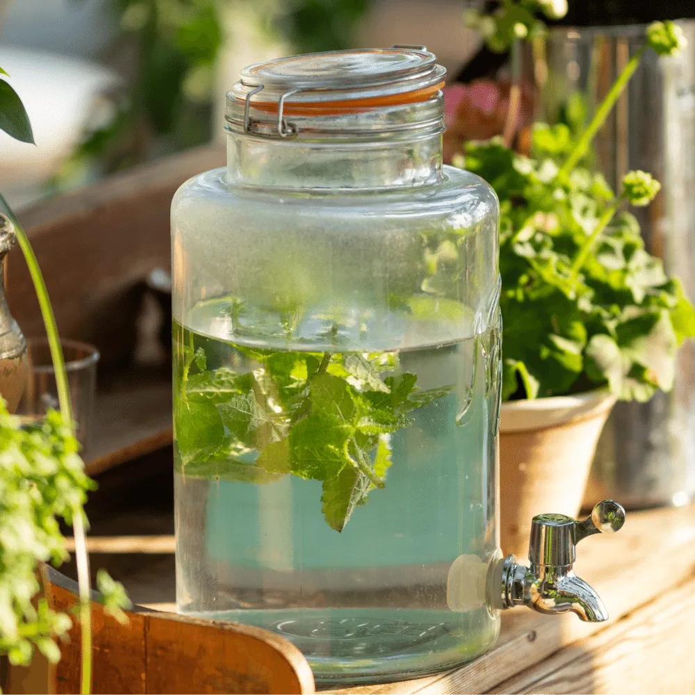 Quench your Thirst Impressive 5Gallon Water Jugs!