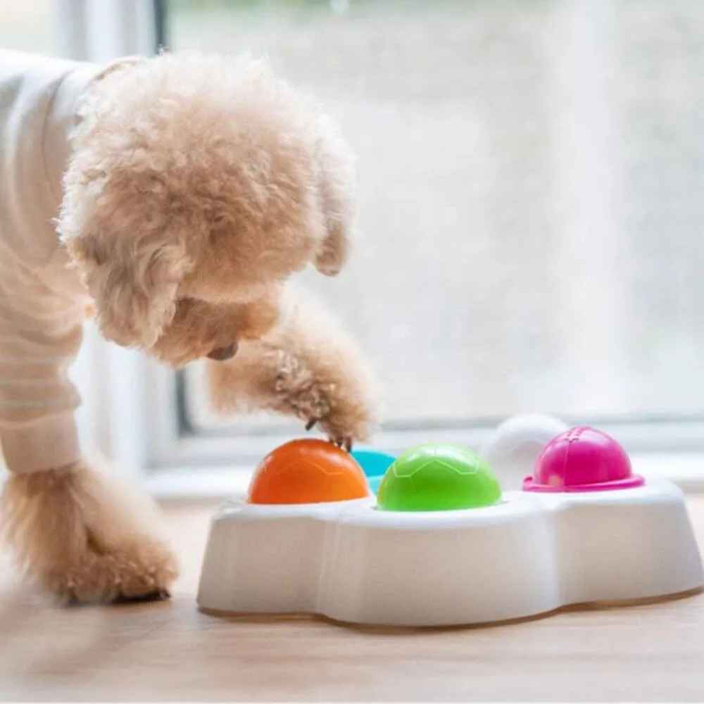 Find the Perfect Dog Puzzle Feeder for 2024
