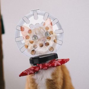 Feline Fun & Safety: CAT Muzzles Made Easy!