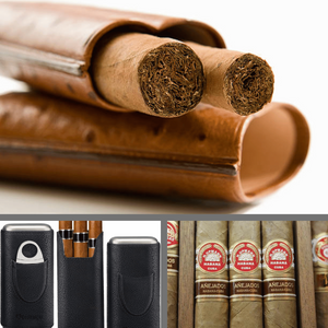 A Case Full of Smoke: The Ultimate Cigar Travel Case!