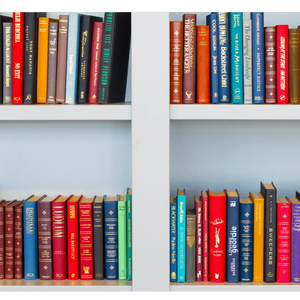 Montessori Bookshelf: Perfect Blend of Style & Smarts!
