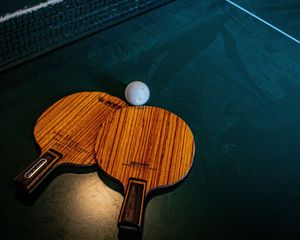 Master The Spin: Unveiling The Ultimate Ping Pong Paddle