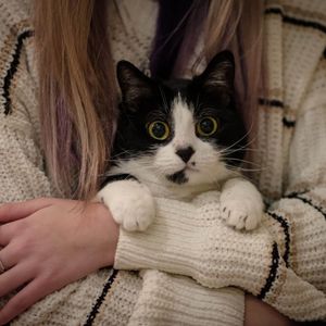 Is There a Spiritual Significance of a Cat Sleeping on Your Chest?
