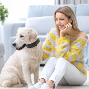 The Ultimate Guide to Weighted Dog Collars: TOP PICKS!