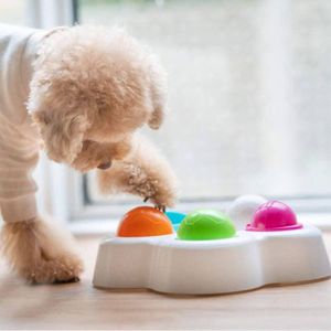 Find the Perfect Dog Puzzle Feeder for 2024