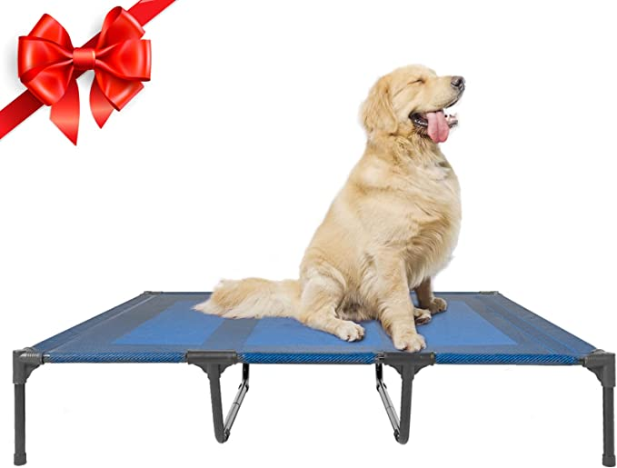 Enjoy the Great Outdoors with the Best Outdoor Dog Beds!