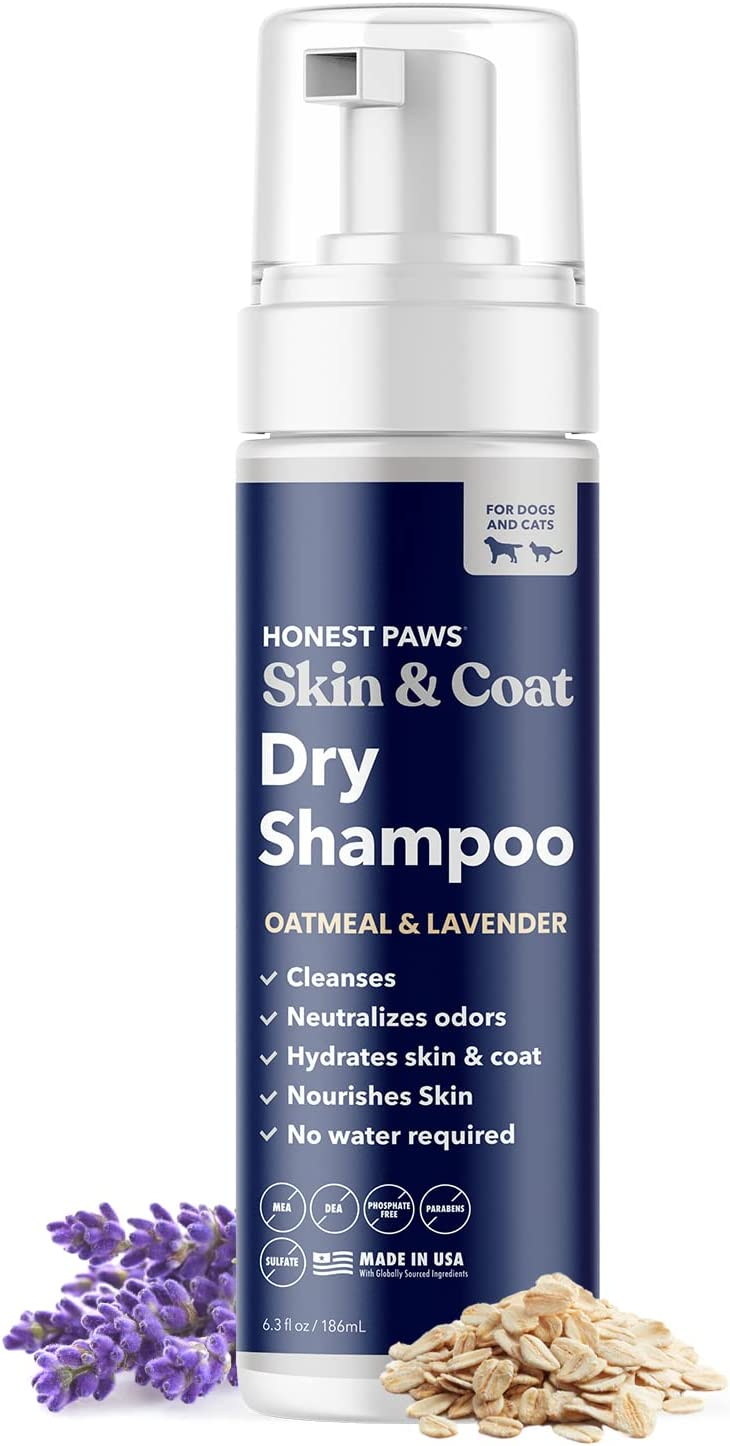 Clean Pup, No Suds! The Magic of Dry Shampoo for DOGS!