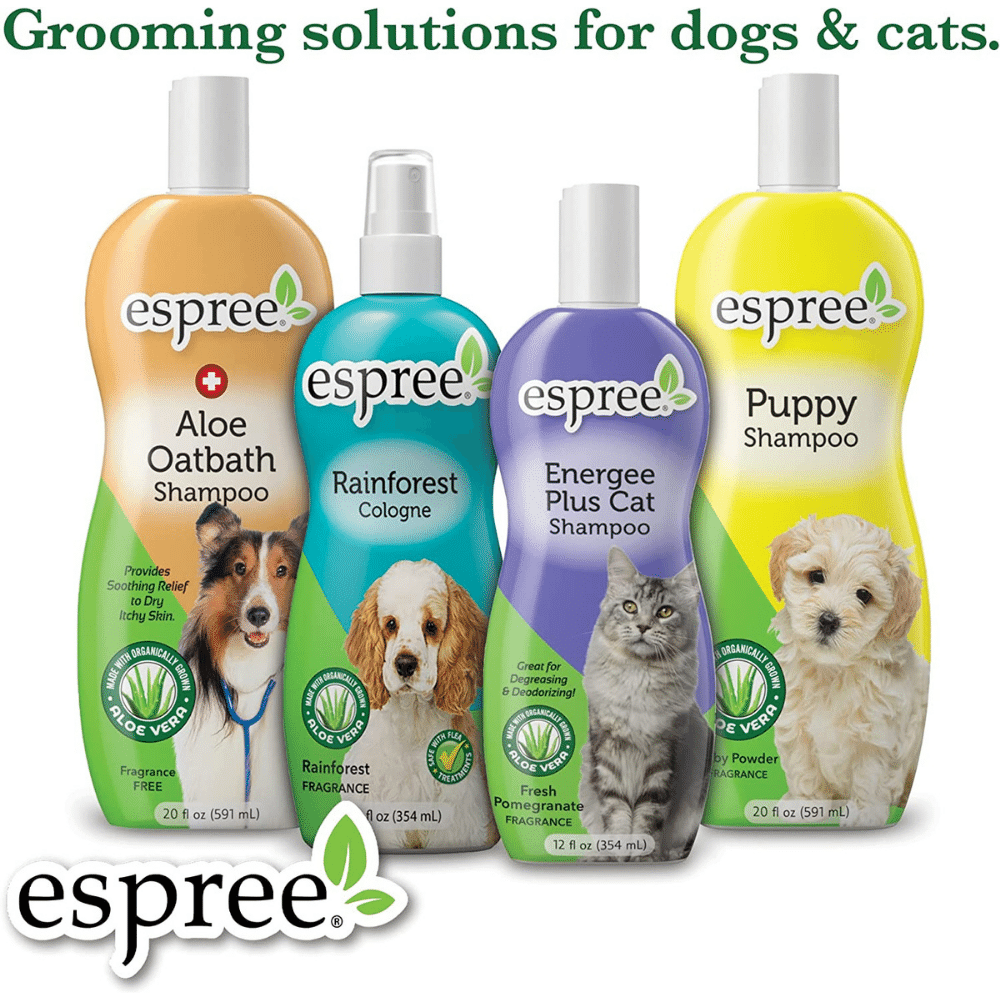 Cats Deserve Only the Best The Ultimate Kitten Shampoo!