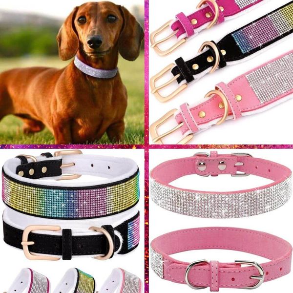 Teal Dog Collars A Guide to Style, Comfort, & Safety