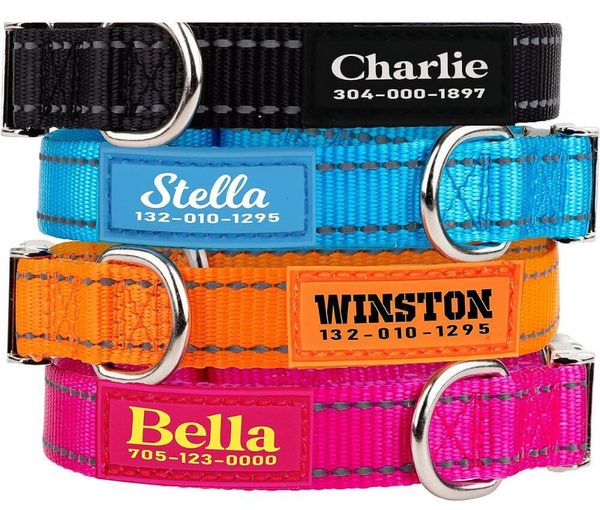 Teal Dog Collars A Guide to Style, Comfort, & Safety