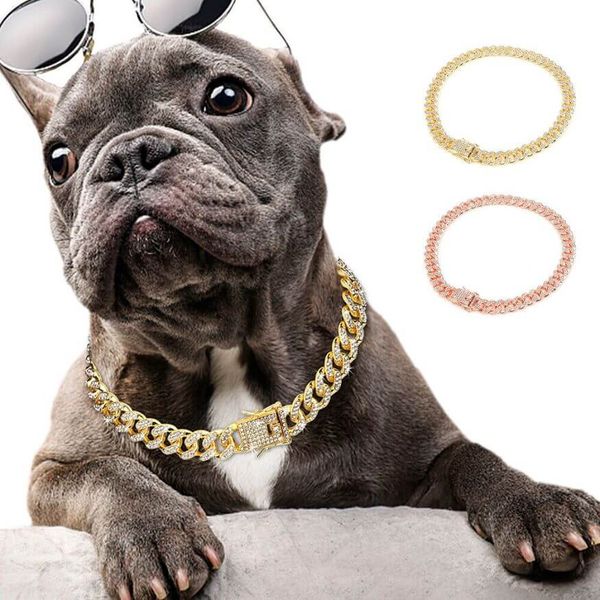 Give Your Pooch a Touch of Luxury with A Gold Dog Chain!