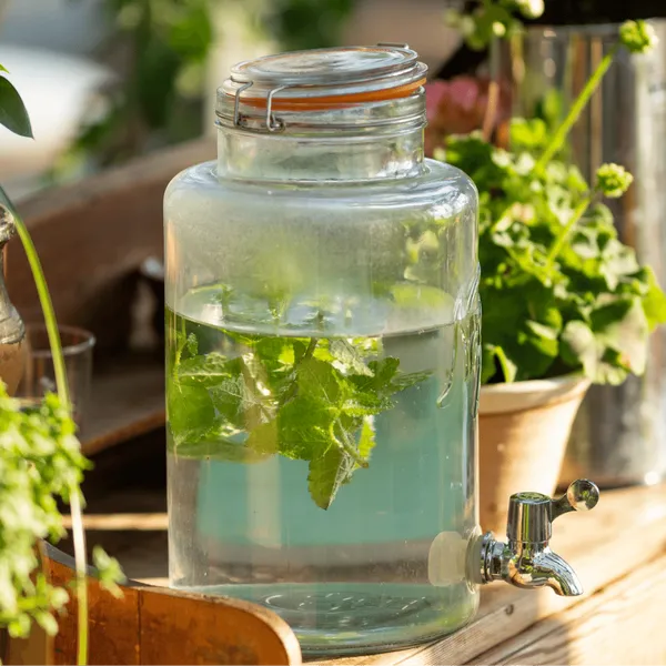 Quench your Thirst: Impressive 5-Gallon Water Jugs!