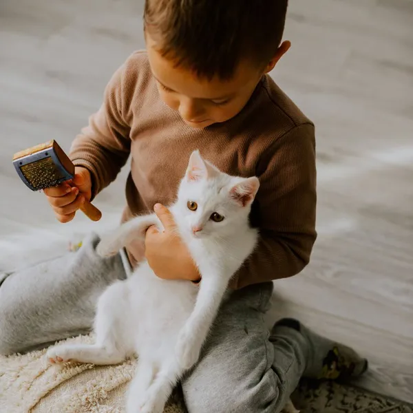 Purr-fect Grooming: The Cat Brush For The Glamour Kitty