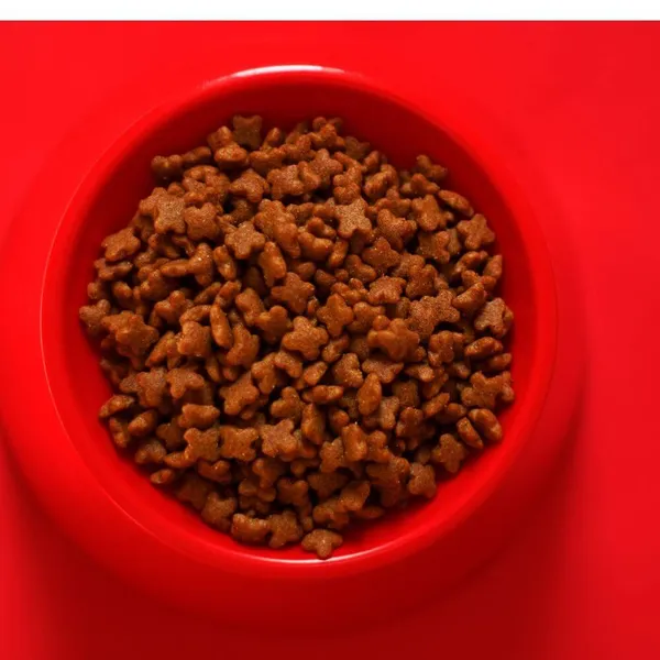 Discover the WOPET Automatic Pet Feeder!