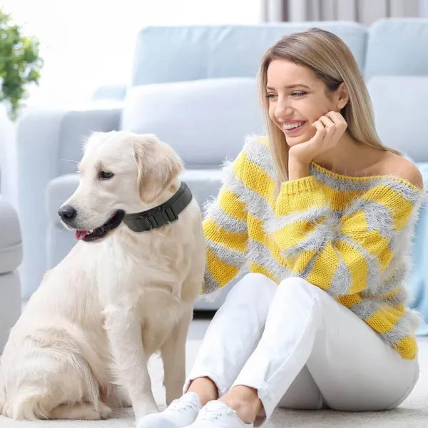 The Ultimate Guide to Weighted Dog Collars: TOP PICKS!