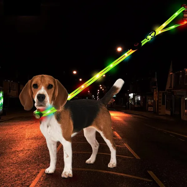 Light Up the Night: The Power of Glow-in-the-Dark Dog Collars!